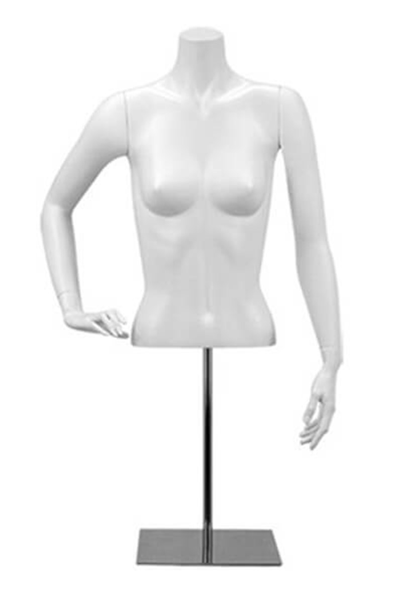 Nancy busto torso mujer